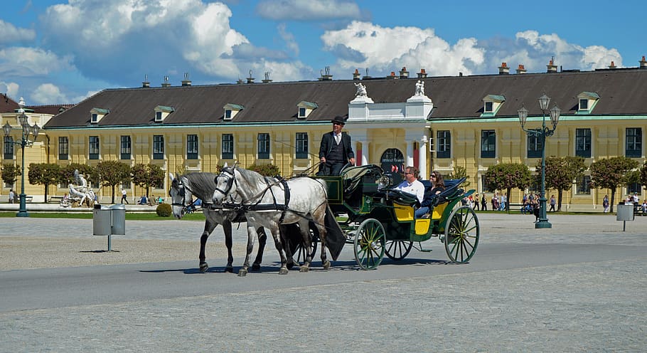 carruagem puxada por cavalos, viena, schönbrunn, áustria, arquitetura, gado, cavalo, estrutura construída, doméstico, vida selvagem animal