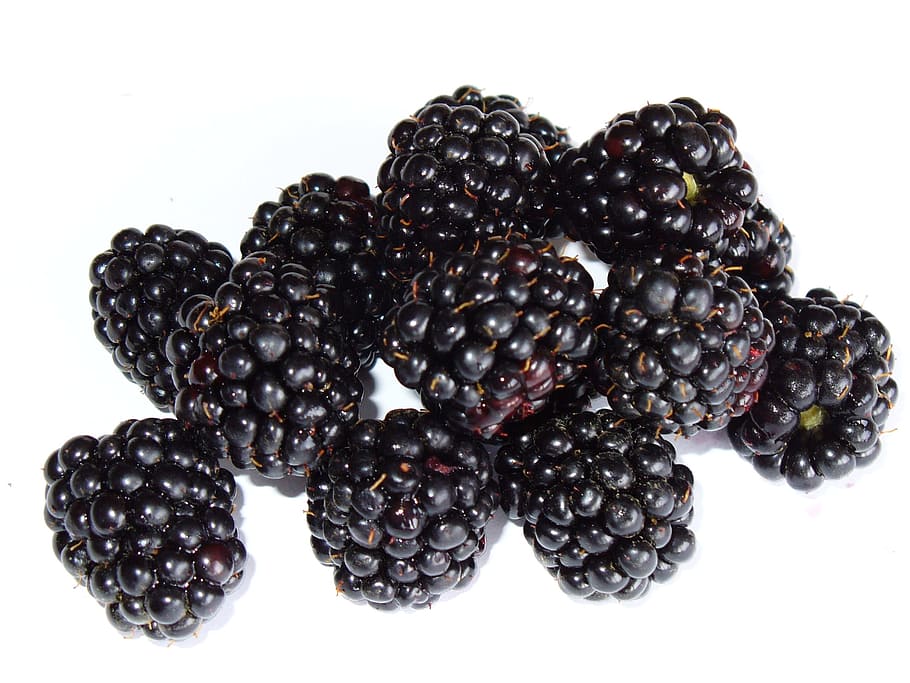 several blackberries, Blackberry, Bramble, Berry, Fruit, Macro, berry, fruit, irritably, food, blackberry - Fruit