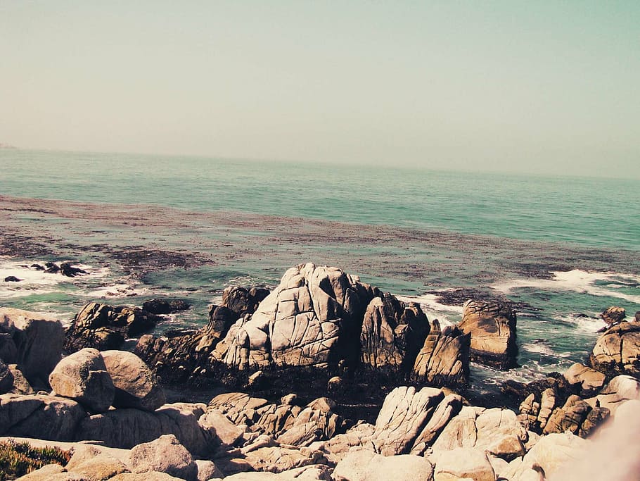 foto, rocas, orilla del mar, cuerpo, agua, cantos rodados, orilla, océano, mar, naturaleza