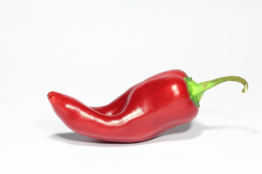 chili, a vegetable, spicy, red pepper, sharp, white background, spice, fresh, healthy food, natural food