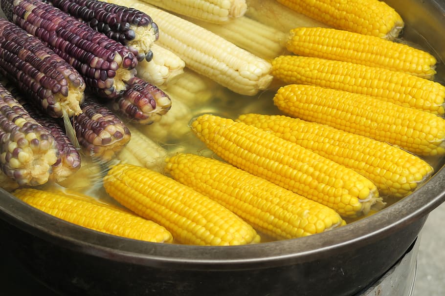 corn, corn cobs, food and drink, food, healthy eating, vegetable, yellow, wellbeing, freshness, sweetcorn