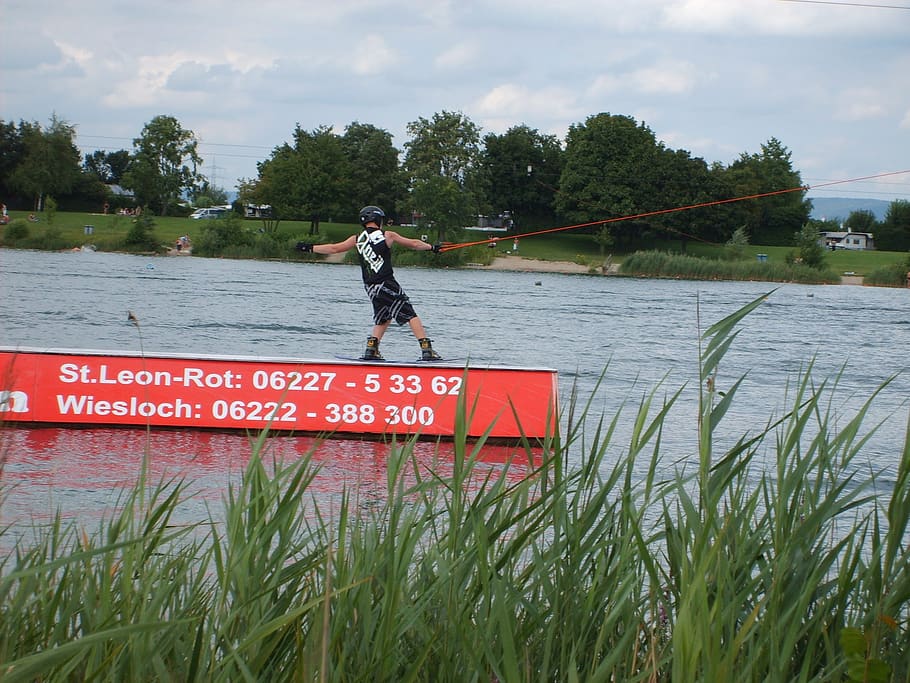 wakeboard, slider, wakeboarder, water sports, plant, water, nature, tree, grass, real people