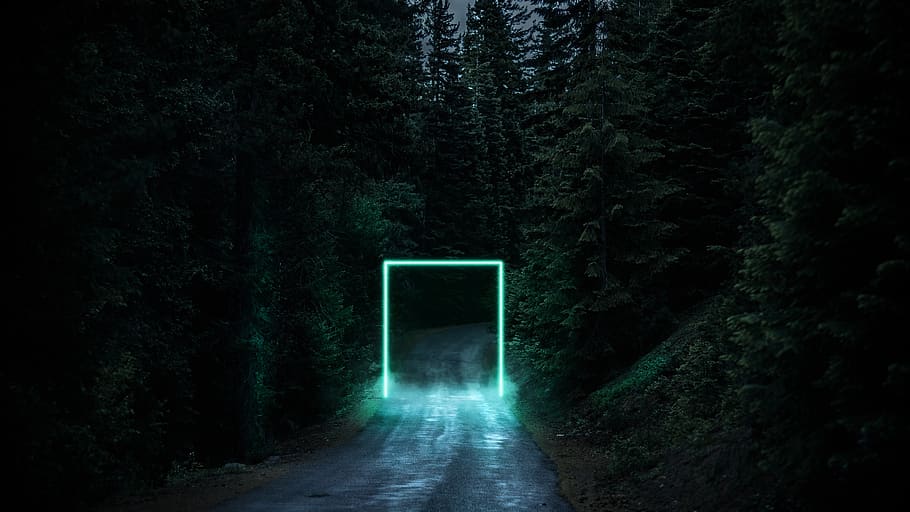 portal, hutan, malam, jalan, misteri, neon, cahaya, kabut, pohon, menanam