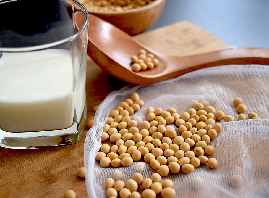 soy beans, inside, glass, Soy Milk, Soybean, Soy-Milk, soy, healthy eating, food and drink, bowl