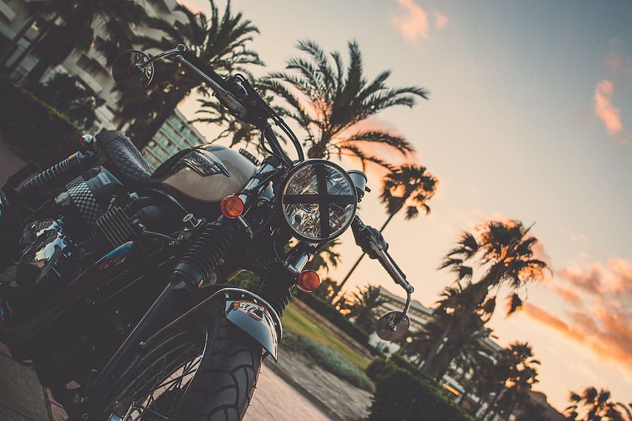 motorcycle, travel, trip, road, street, trees, outside, sky, sunset, building