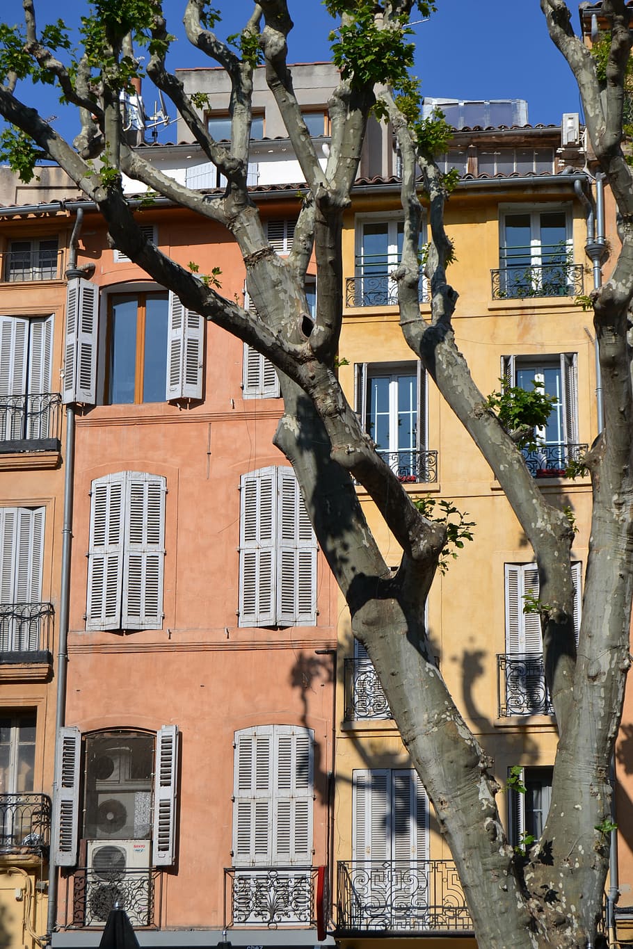 francia, provenza, aix-en-provence, sur de francia, fachadas, casas, árboles, exterior del edificio, arquitectura, estructura construida