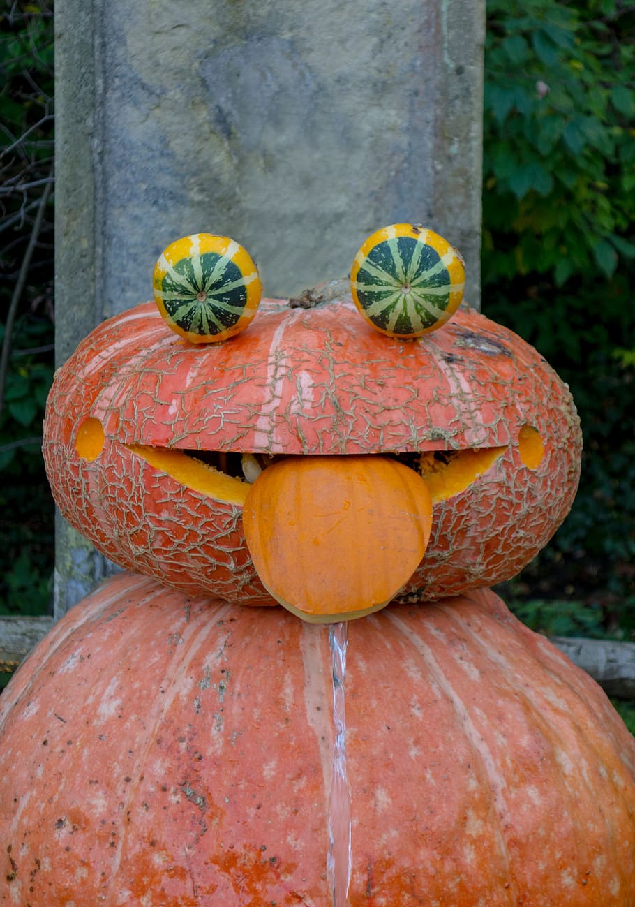 brown, pumpkin frog decor, Pumpkin, Face, autumn, october, funny, halloween, decoration, halloweenkuerbis