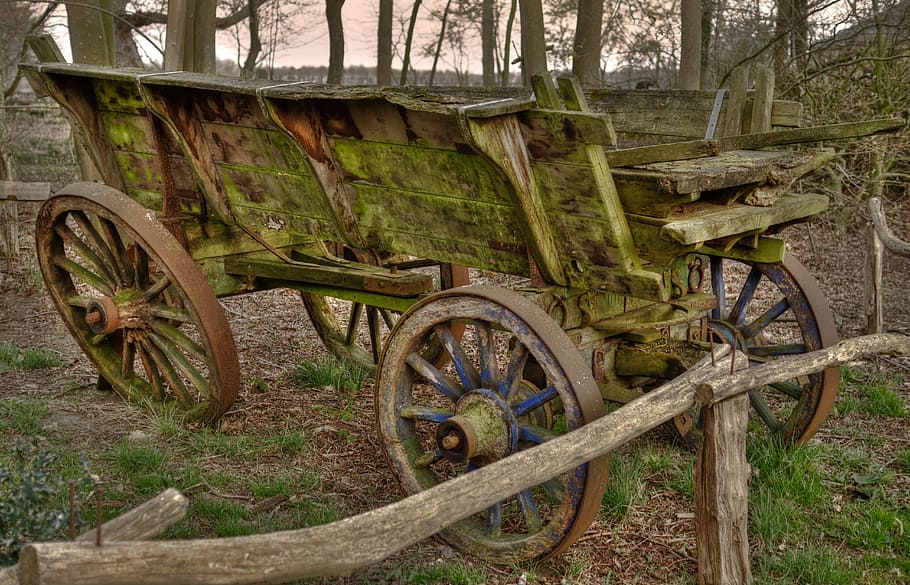 vintage, green, carriage, forest, cart, old, antique, hdr, farm, wooden