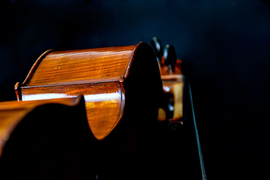 cello, strings, instrument, music, musical, key, classic, concert, tuning keys, french cello