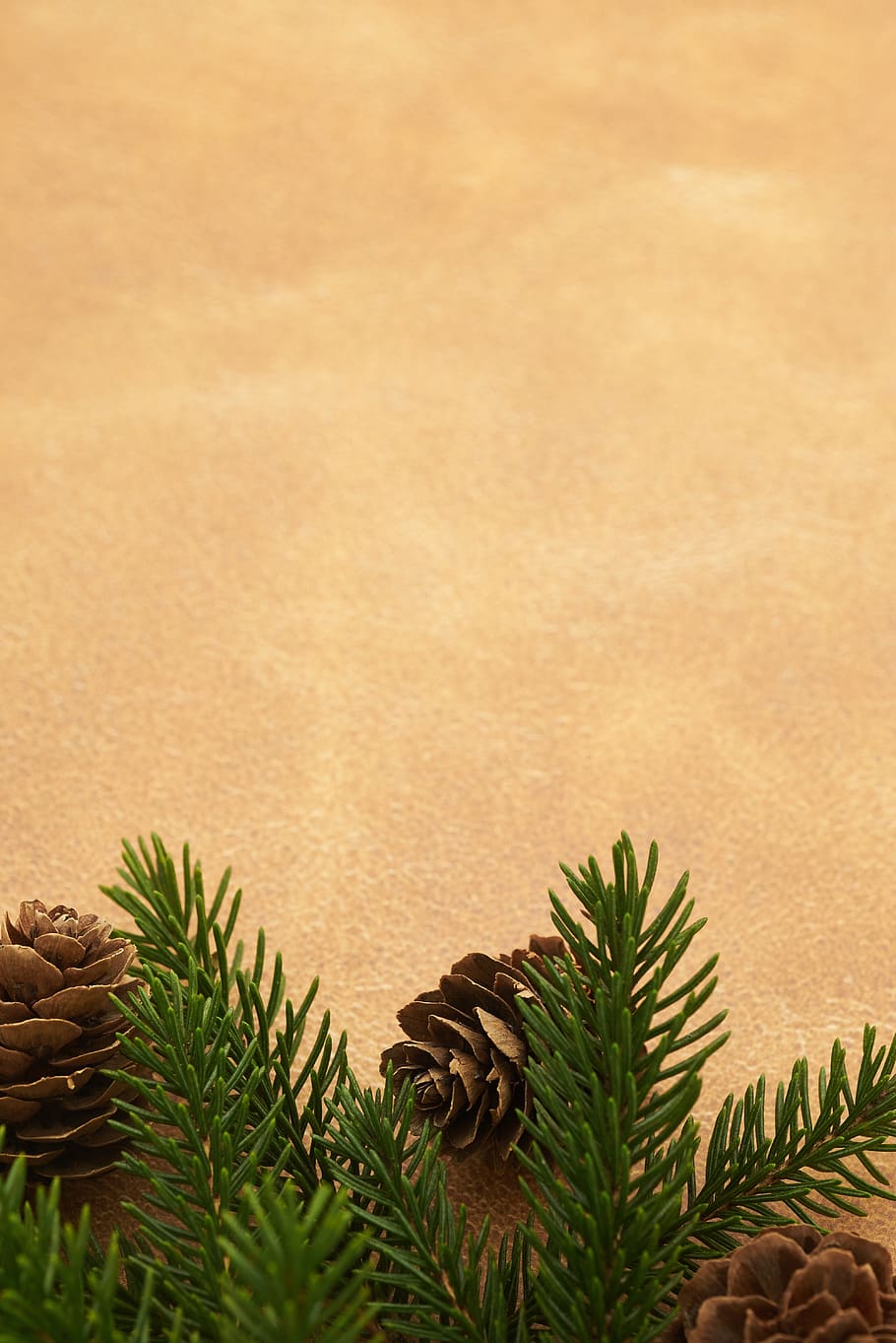 seasonal, backgrounds, christmas, flat lay, pine, tree, branches, festive, cone, copyspace