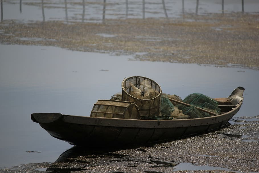 sharp, vietnam, the boat, outdoor, catching fish, nautical vessel, abandoned, transportation, day, water