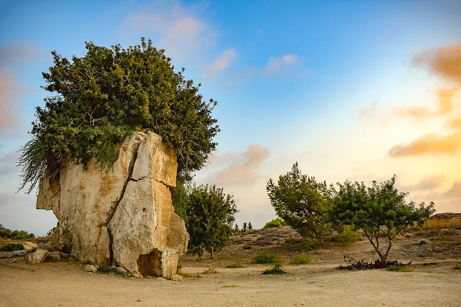 cyprus, paphos, tombs of the kings, archaeology, archaeological, historic, stone, tree, unesco heritage site, landscape