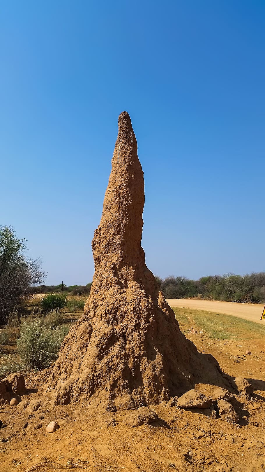 Colina de termitas, termitas, hormigas, hormiguero, termitenbau, África, Namibia, naturaleza, seco, heiss