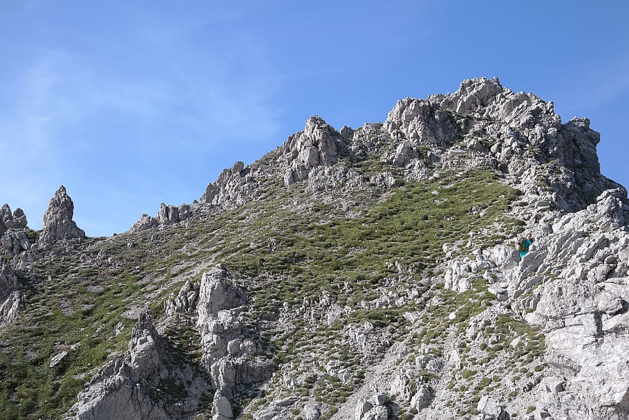 Cumbre, Áspero, Cuerno, Sendero, Alpino, cuerno áspero, Alpes de Allgäu, montaña, naturaleza, paisaje