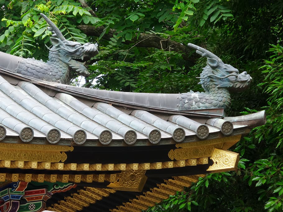 日本, 寺院, 屋根, ドラゴン, 飾り, 金, 屋外, 日, 文化, 建築