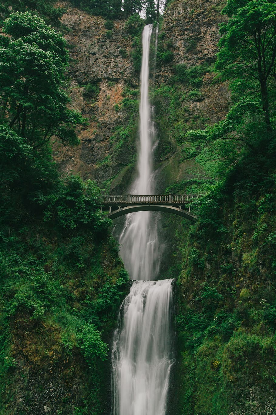 fotografia em time-lapse, cachoeiras, natureza, árvores, bosques, floresta, verde, cai, infraestrutura, ponte