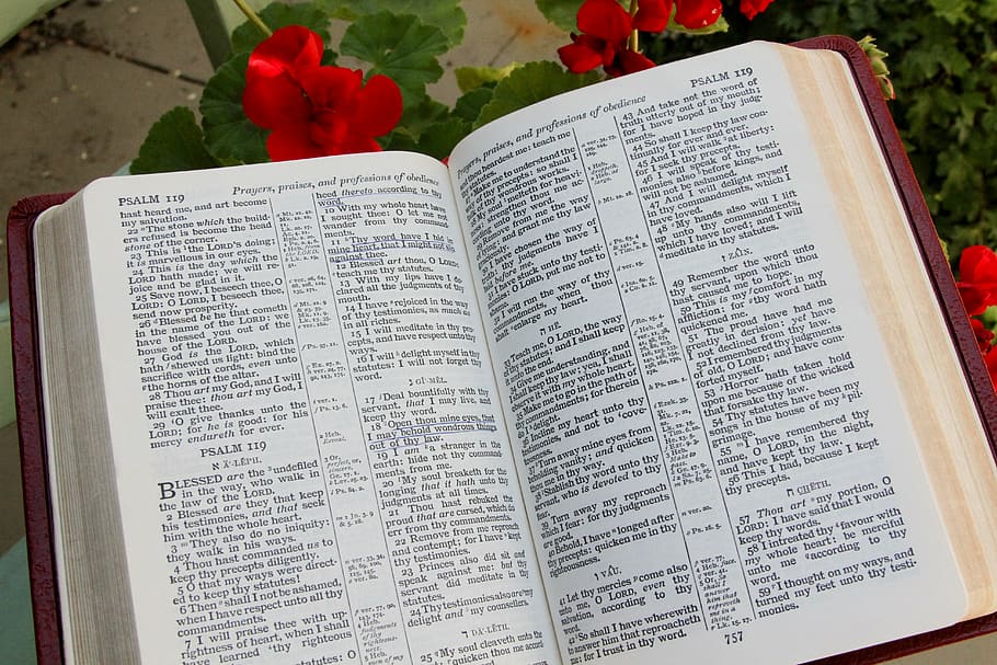 biblia, páginas del salmo, abierto, libro, religión, cristianismo, santo, texto, cristiano, fe