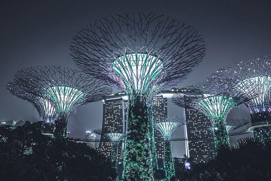 シンガポールの建築物, 構造物, 建物, シンガポール, 建築, 都市, 夜, イルミネーション, 照明器具, 都市のシーン