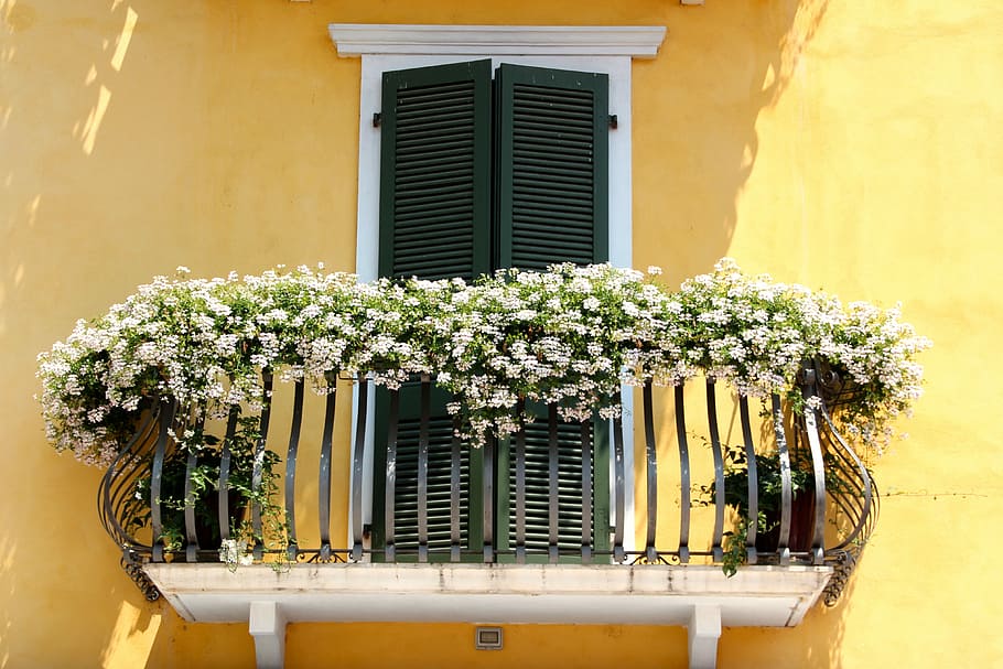 Varanda, Flor, Caixas, flores, canteiros de flores, planta de varanda, janela, arquitetura, edifício residencial, amarelo