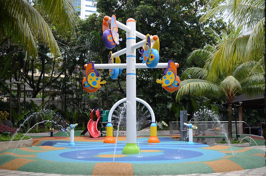 waterpark near trees, playground, children's playground, aquatic playground, dip, fun, summer, tree, plant, day