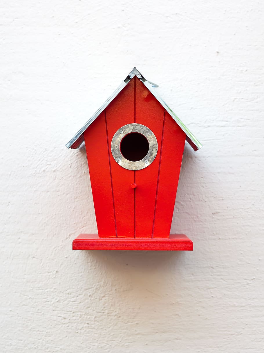 red, gray, wooden, nestbox, aviary, birds, nesting place, bird feeder, incubator, tit