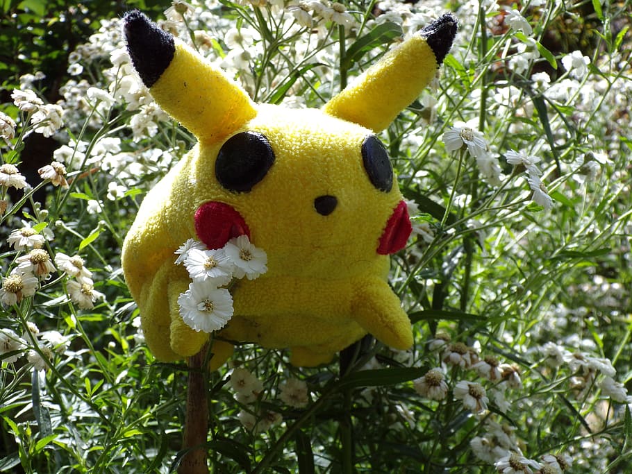 pokemon pikachu, plush, toy, outdoors, pokemon, comic, stuffed animal, toys, picachu, plant