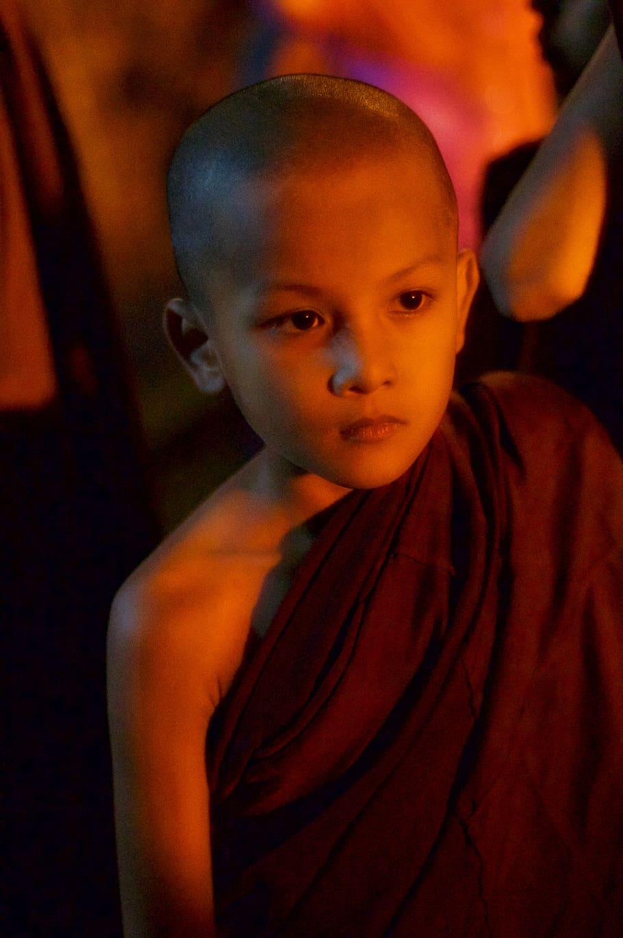 child, monk, burma, buddhist, people, myanmar, buddha, boy, gold, budhas