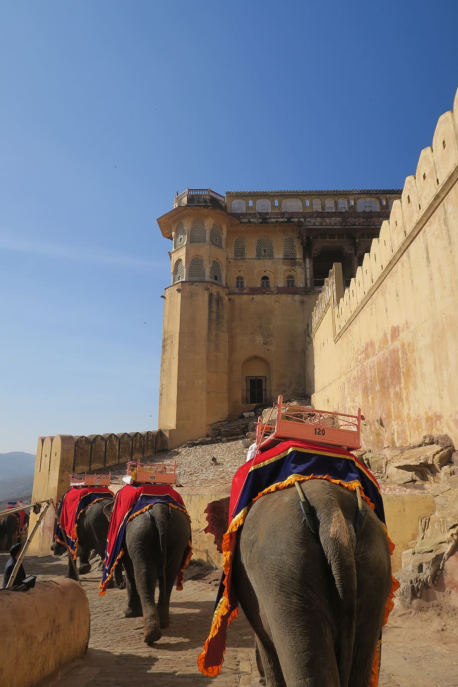 travel, architecture, outdoors, tourism, old, palace, fort, elephant, amber fort, jaipur