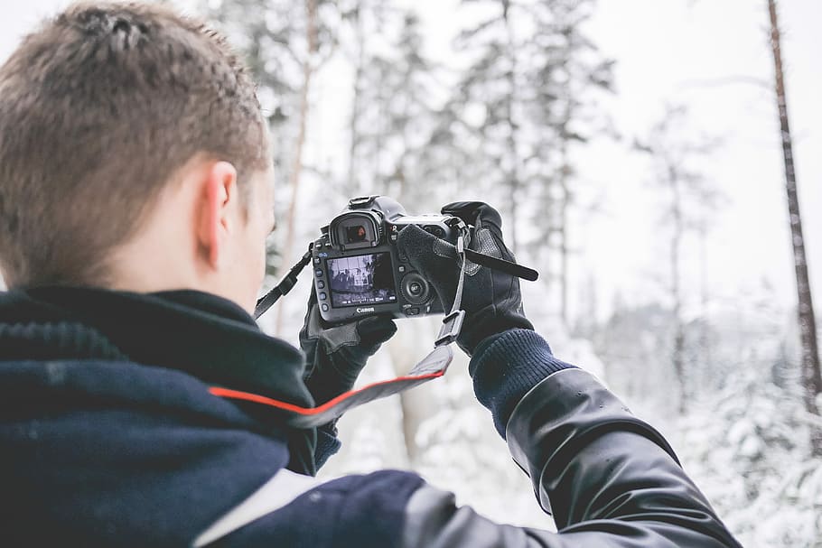 撮影, 冬の写真, 写真家, 雪, 森, 冬, 写真, カメラ, 寒い, デジタル一眼レフ