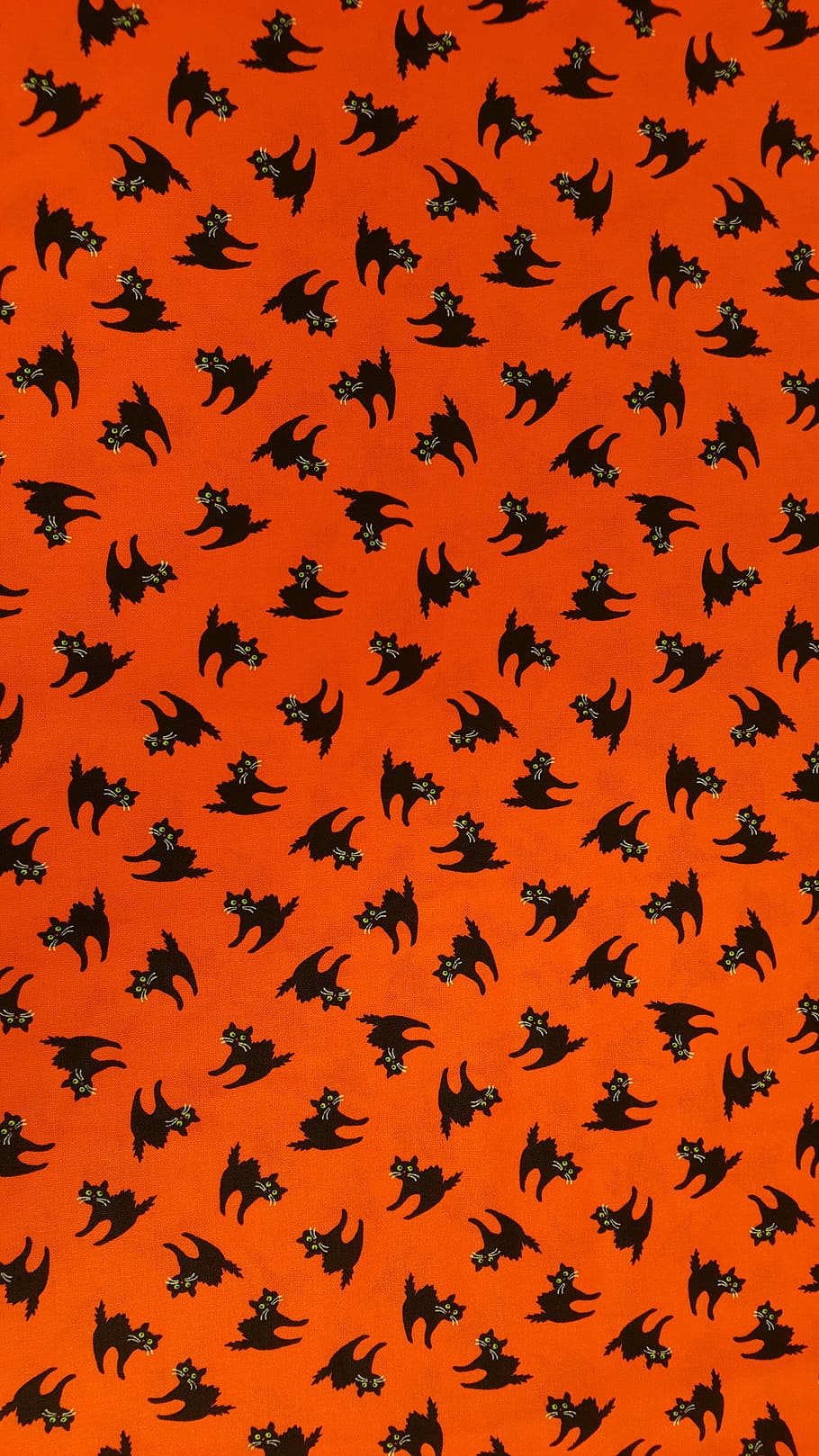 naranja, fondo, textil impreso gato, gatos, halloween, feriado, diseño, horror, otoño, negro