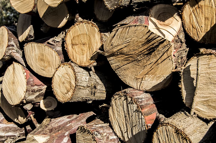 Lena, Trunk, Wood, Trees, Cut, Firewood, cut firewood, brown, tree, stack