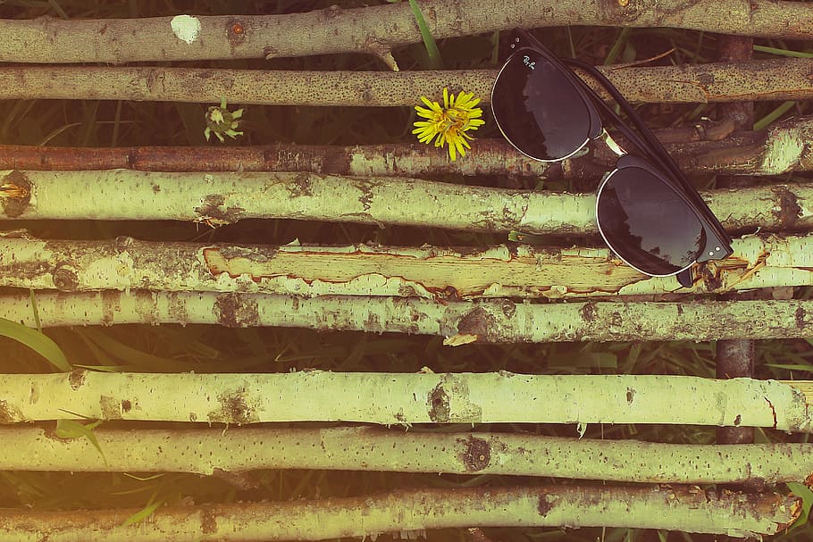 black, sunglasses, wooden, surface, framed, rayban, clubmaster, wood, branches, objects