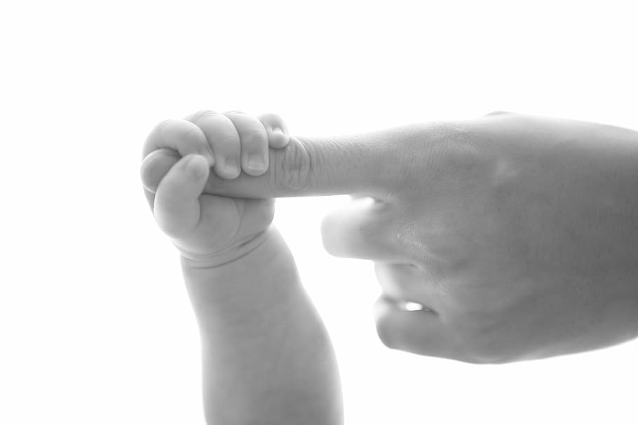 criança, pai, exploração, dedo, fotografia em escala de cinza, bebê, mão, cem dias, pedra, parte do corpo humano