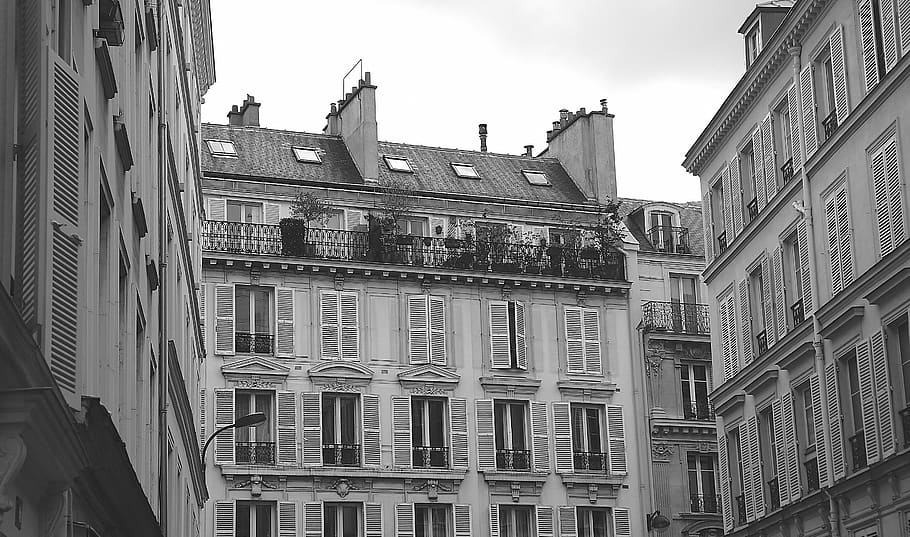 edificios, apartamentos, casas, ventanas, persianas, balcones, francia, ciudad, barandillas, blanco y negro