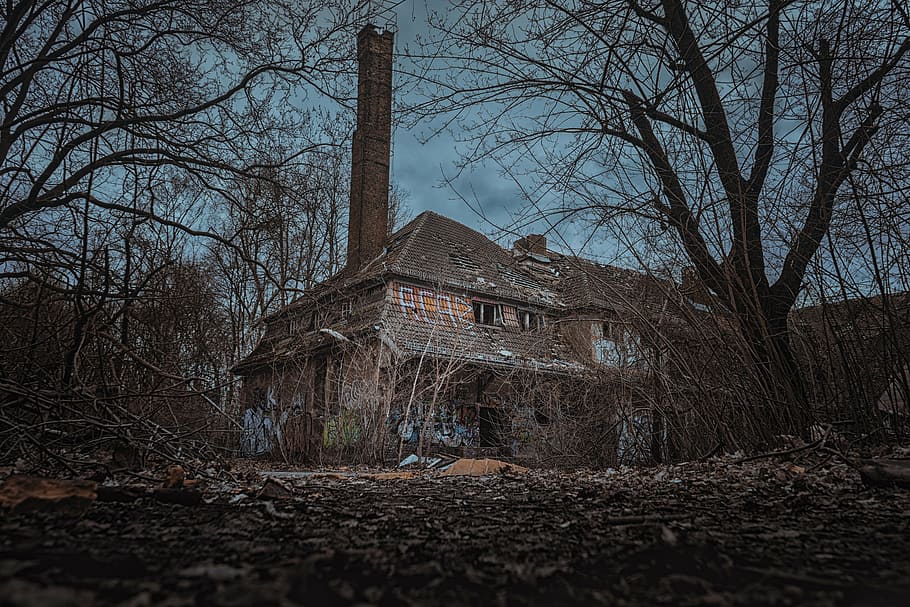 brown, house, forest, lost place, homes, leave, uninhabited, gloomy, broken, scary