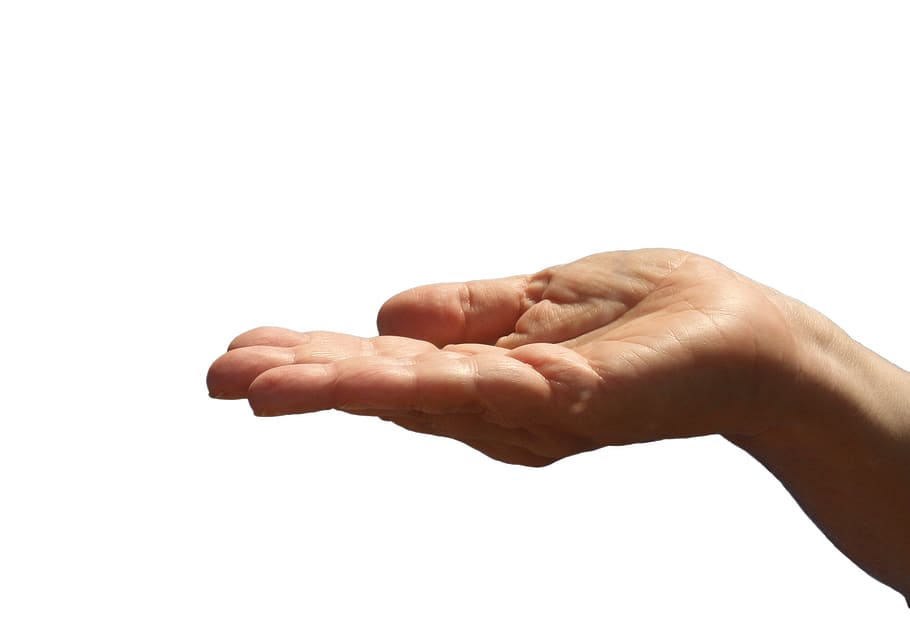 palma derecha de la persona, mano, palma, abrir, dar, tomar, mano humana, parte del cuerpo humano, fondo blanco, foto de estudio