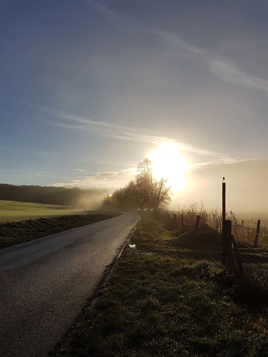 mist, morning, field, rural, nature, road, landscape, sun, spring, sky