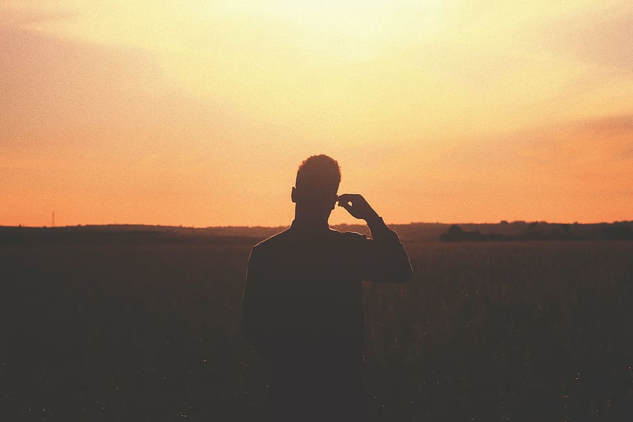 silhouette, person, standing, field, golden, hour, man, middle, grass, sunset