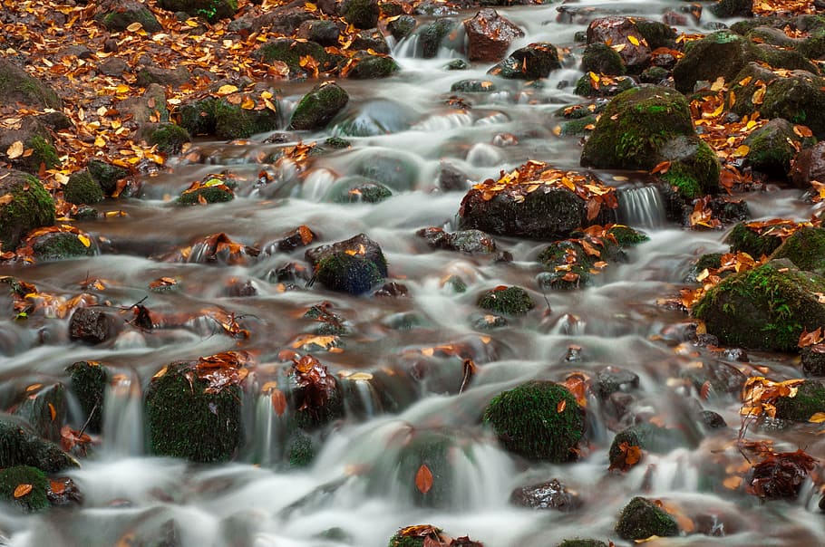 timelapse photo, river, forest, kennedy, waterfall, november, leaves, autumn, long exposure, water