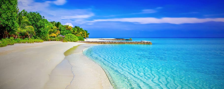 blanco, playa de arena, durante el día, playa, paraíso, playa paradisíaca, palmeras, mar, océano, agua