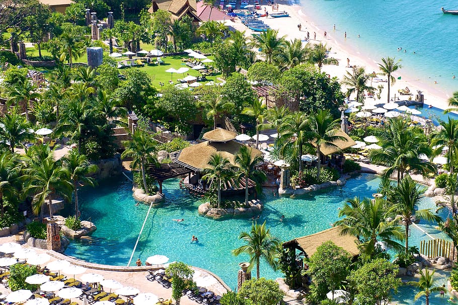 Tailandia, Pattaya, Centara Grand Mirage Hotel, árbol, agua, planta, vista de ángulo alto, naturaleza, piscina, clima tropical