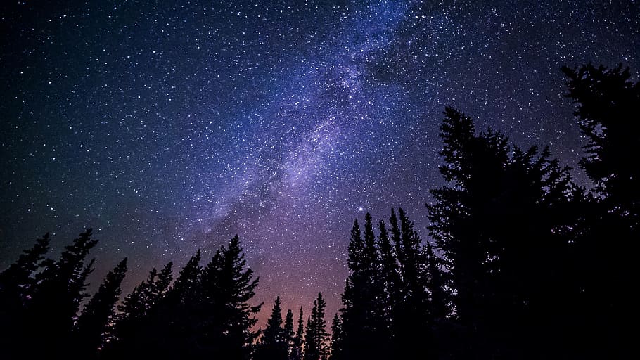 silhueta, árvores, céu aurora boreal, Via Láctea, galáxia, noite, céu, estrelas, universo, cosmos