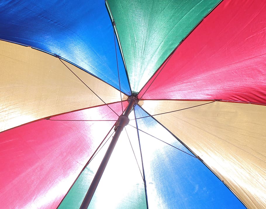 payung, warna-warni, linkage, pohon rindang, sinar matahari, tembus cahaya, payung warna-warni, perlindungan, keamanan, tampilan sudut rendah