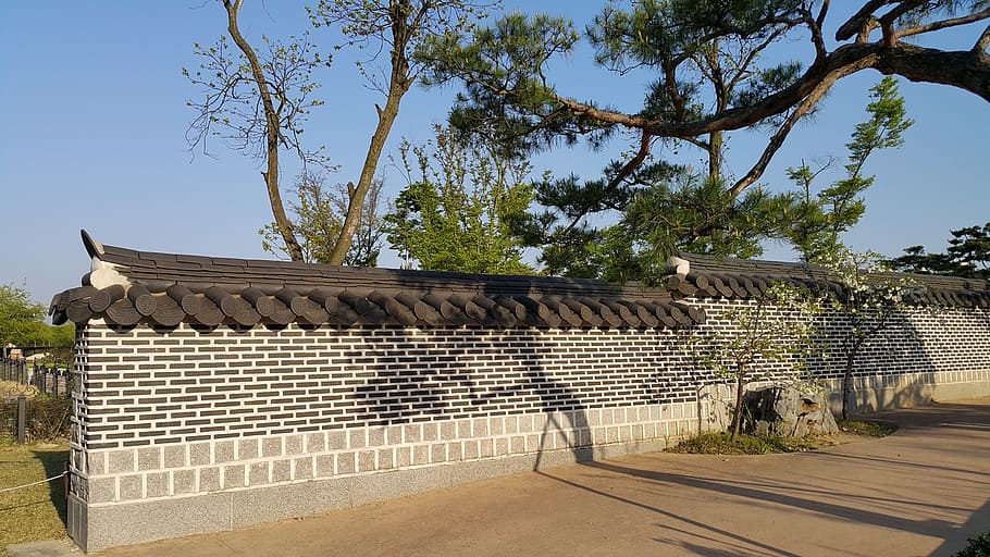 república de corea, muro de piedra, pino, tradicional, valla, vieja escuela, historia, ciudad prohibida, árbol, estructura construida