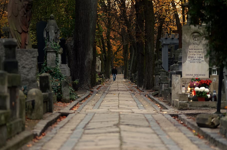 landscape, alley, paved, cemetery, graves, stones, the funeral, trees, nature, autumn