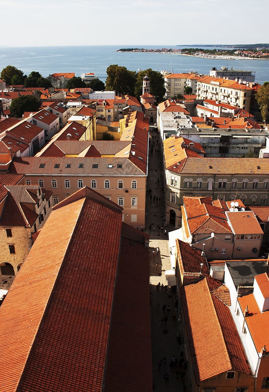 zadar, city, history, croatia, summer, old town, getting to know, holiday, buildings, orange roof