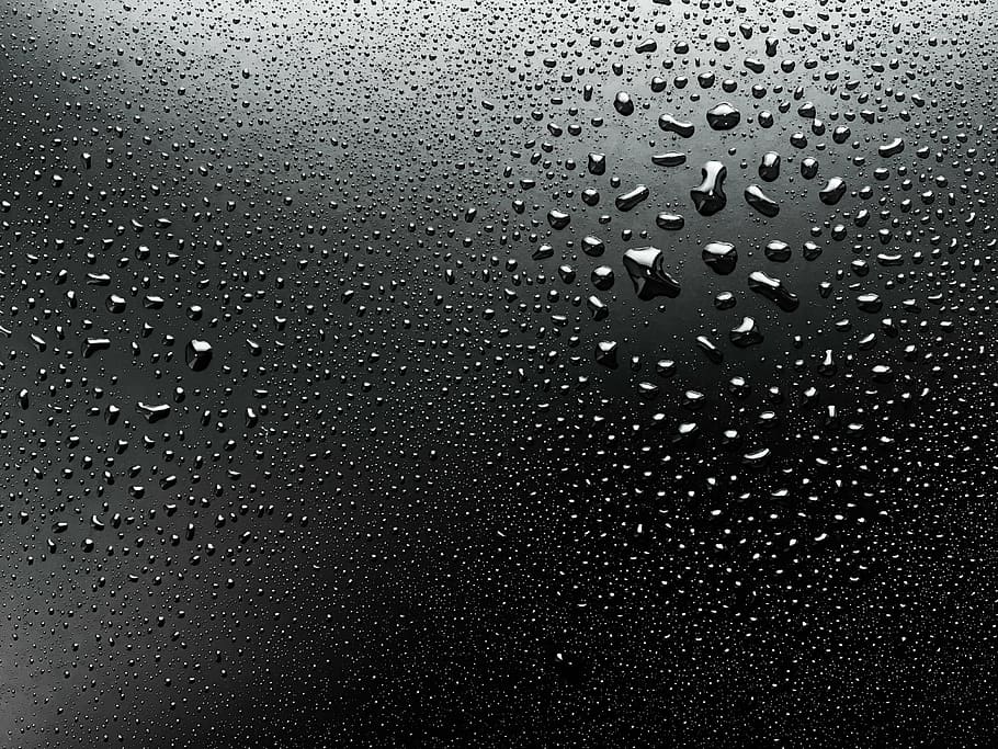 water dew, black, surface, water droplets, dew, wet, drop, macro, liquid, clean