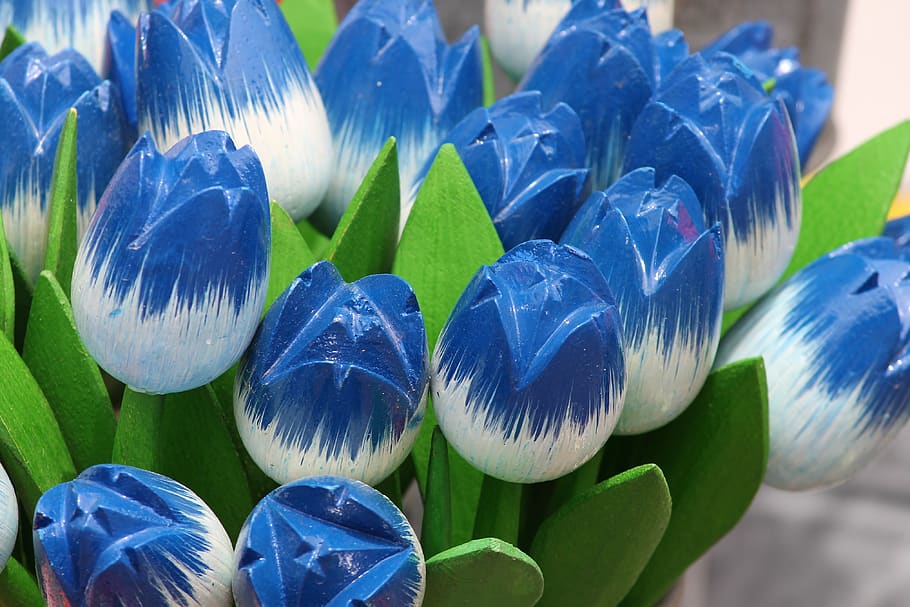 tulipas, tulipas de madeira, decoração, verde, azul, mão-de-obra, colorido, flores, flores de madeira, deco
