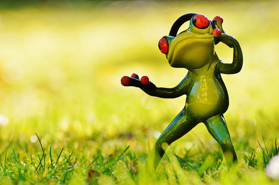 shallow, focus photography, standing, red, eyed, tree frog, frog, meadow, headphones, music