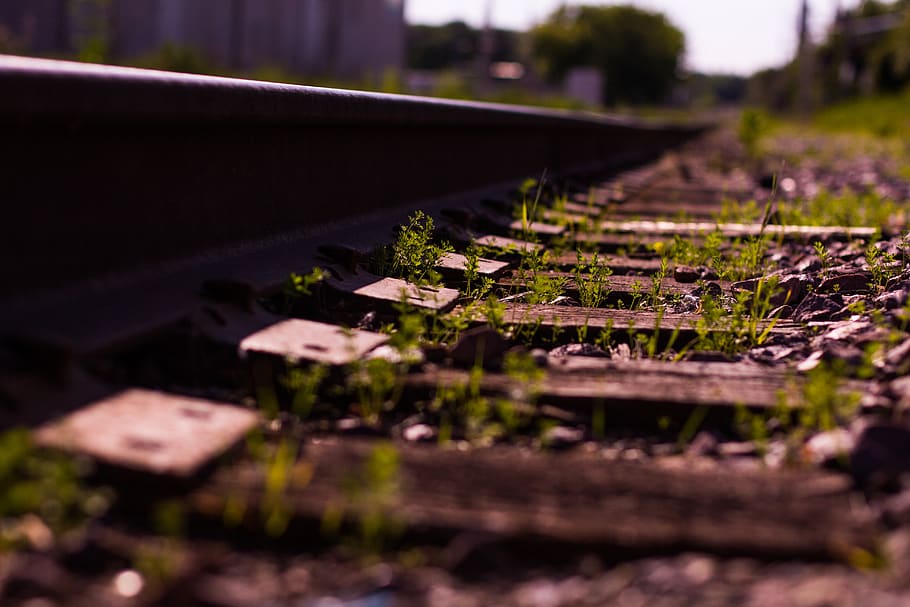 rel kereta api, transportasi, fokus selektif, menanam, alam, tidak ada orang, transportasi kereta api, pertumbuhan, hari, jalur